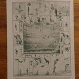 Lithographie originale sur les acrobates