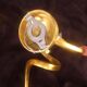 Pair of serpent "teo" lamp wall lights in gold aluminum, enzo ciampalini - 1970s