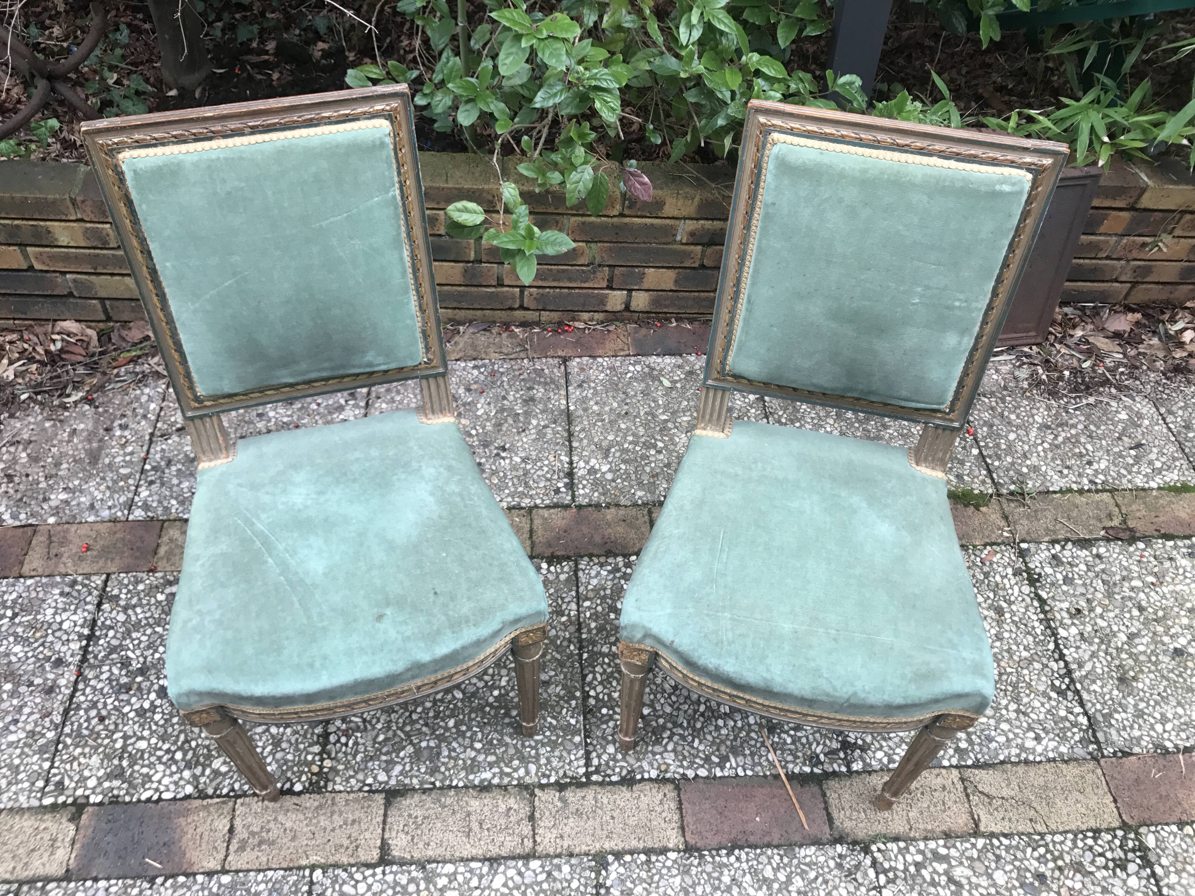 Pair of Louis XVI style chairs