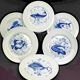 Service of 6 stylised fish dinner plates – Jammet Seignolles