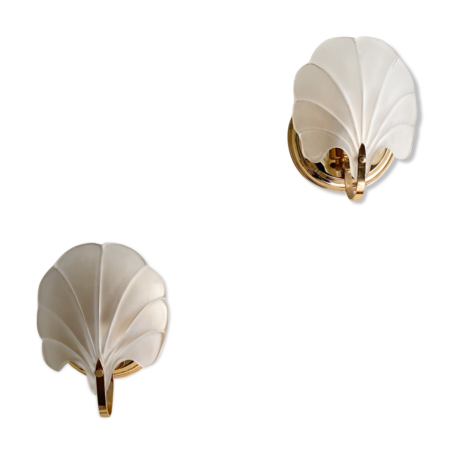 Shell sconces