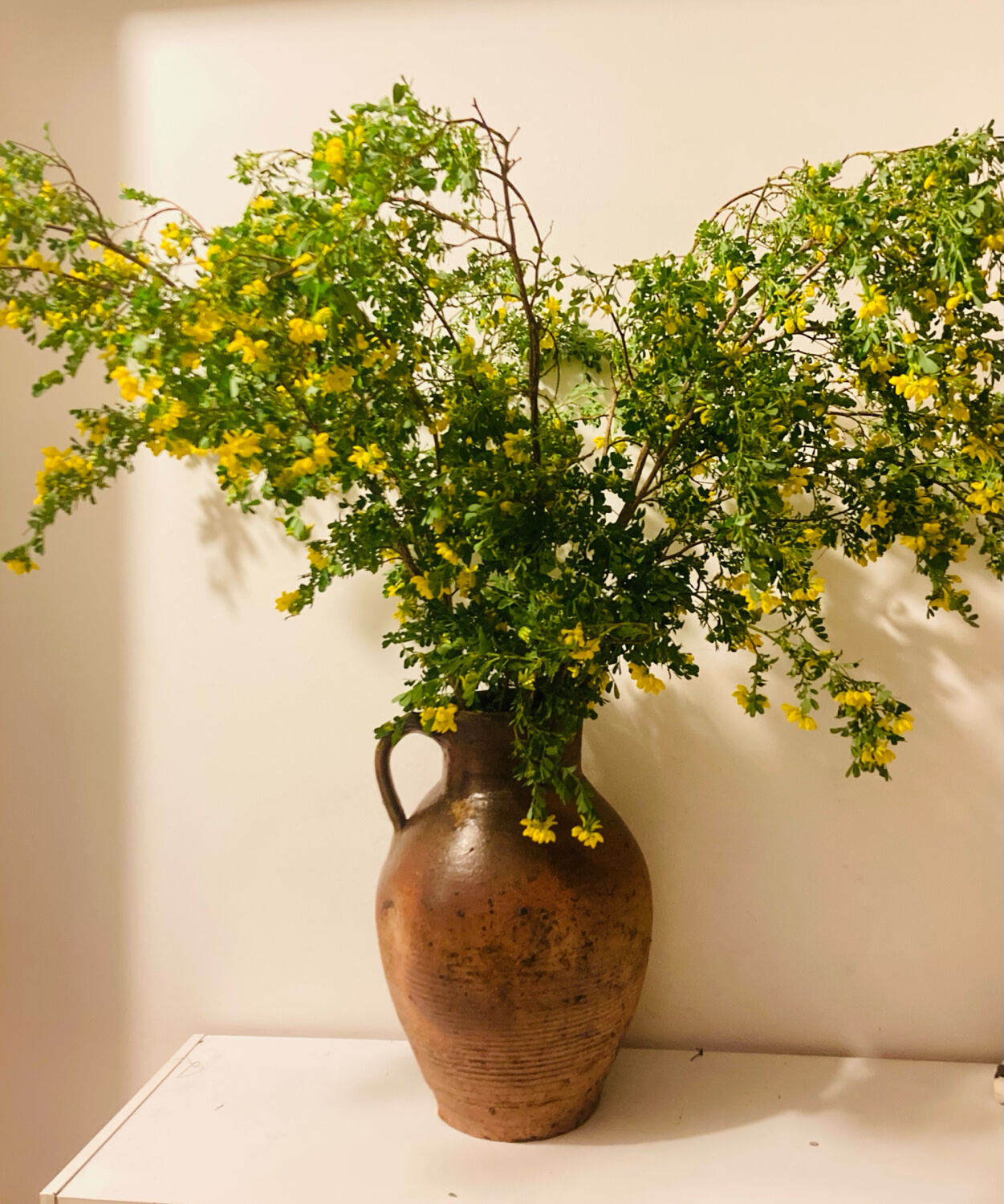 Impressive terracotta pitcher from the 19th century, entirely handmade.