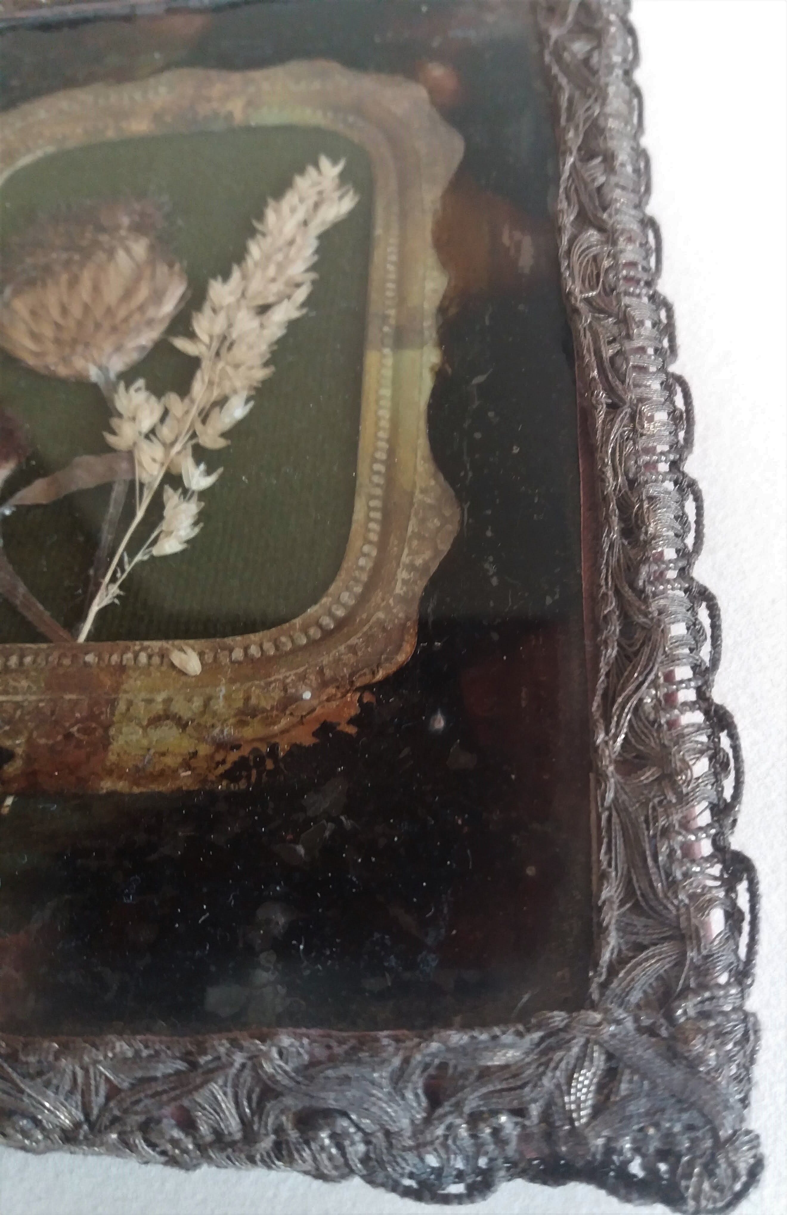 Herbarium in a nice setting