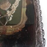 Herbarium in a nice setting