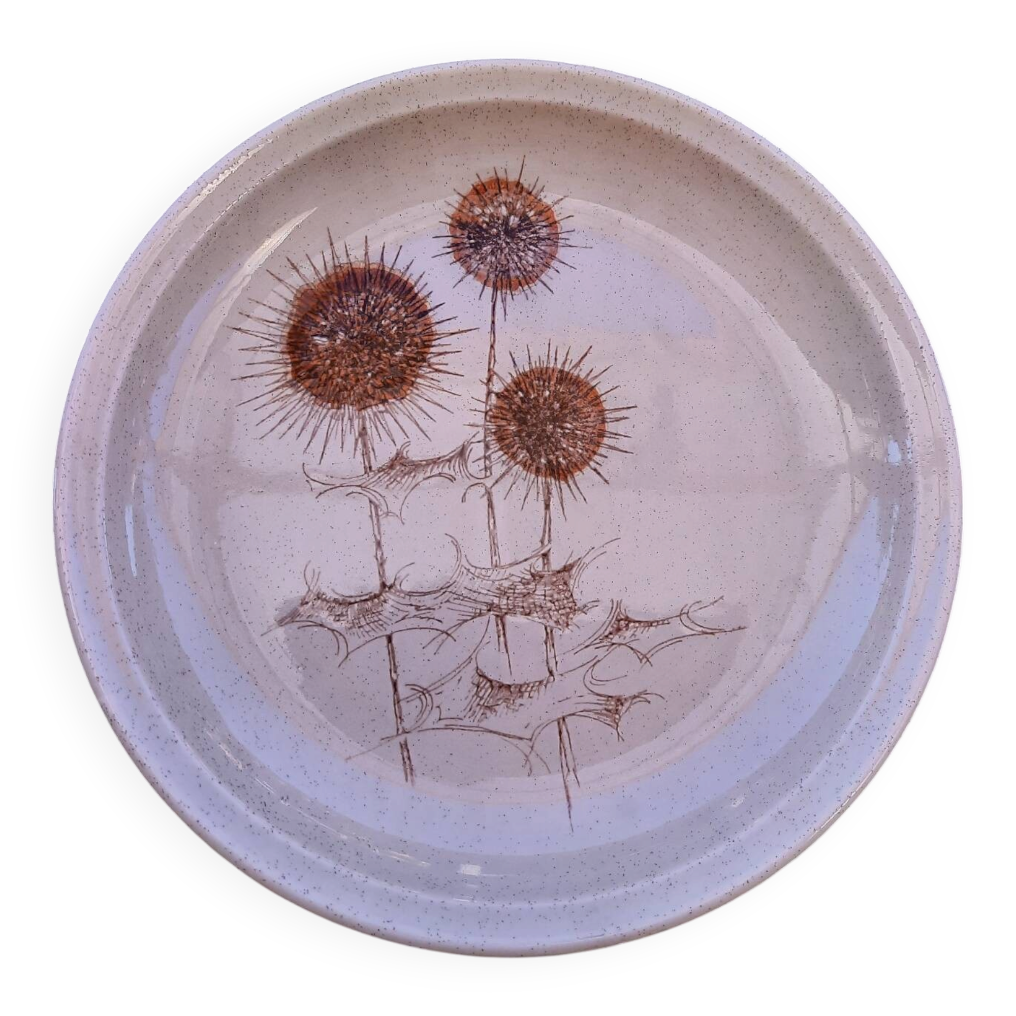 Assiette Sarreguemines 