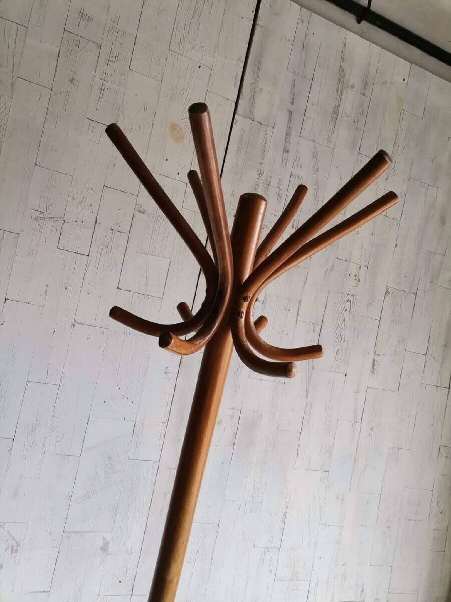 Freestanding coat rack by Thonet in brown wood, bentwood style, Hungary 1930s H185cm