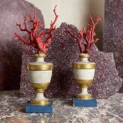 Pair of red corals on gilded and blue wooden bases