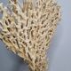Antique large natural coral on turned wooden base, 45 cm