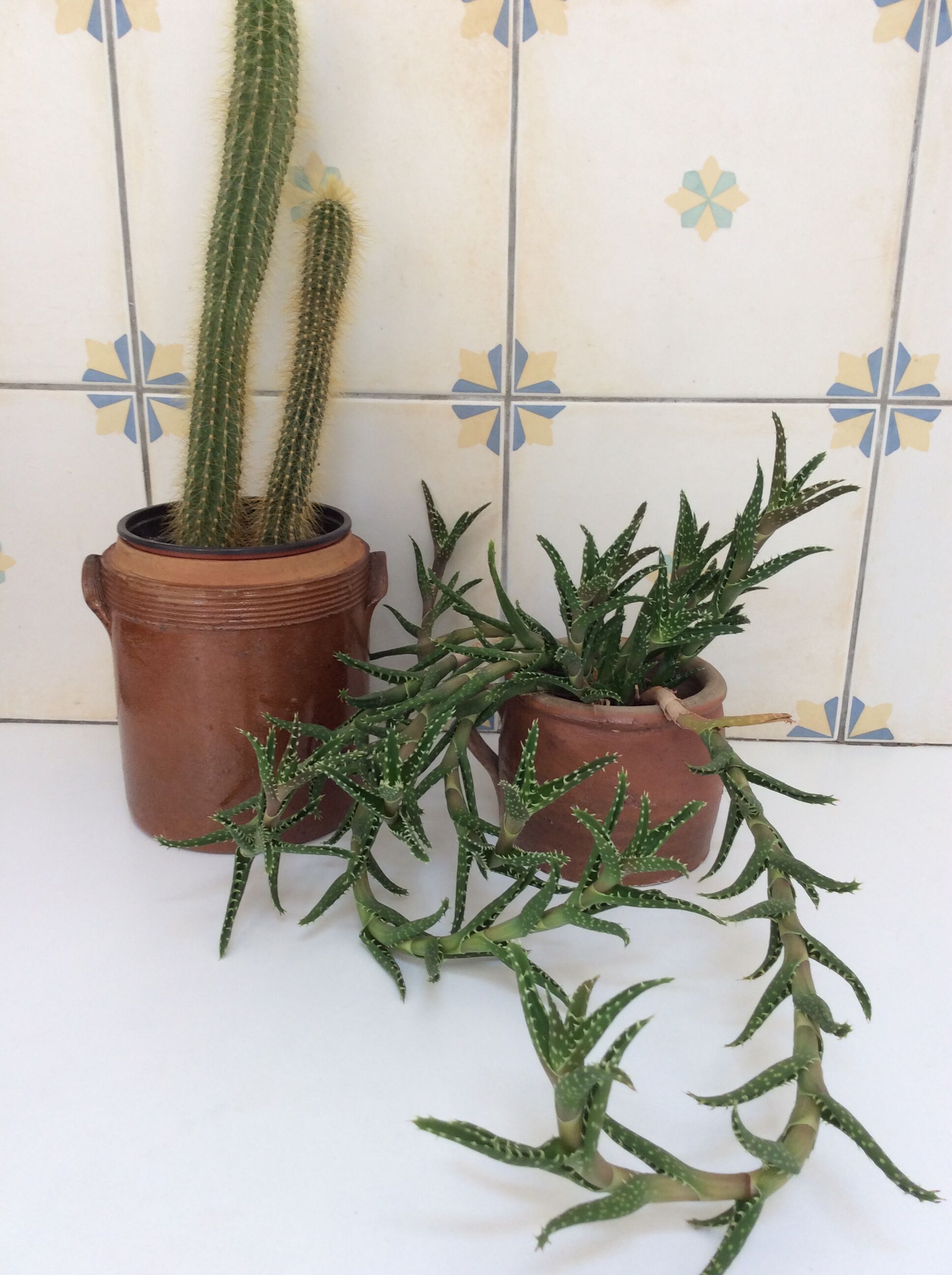 Old stoneware pot with lid