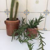 Old stoneware pot with lid