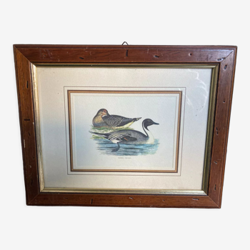Old painting ducks