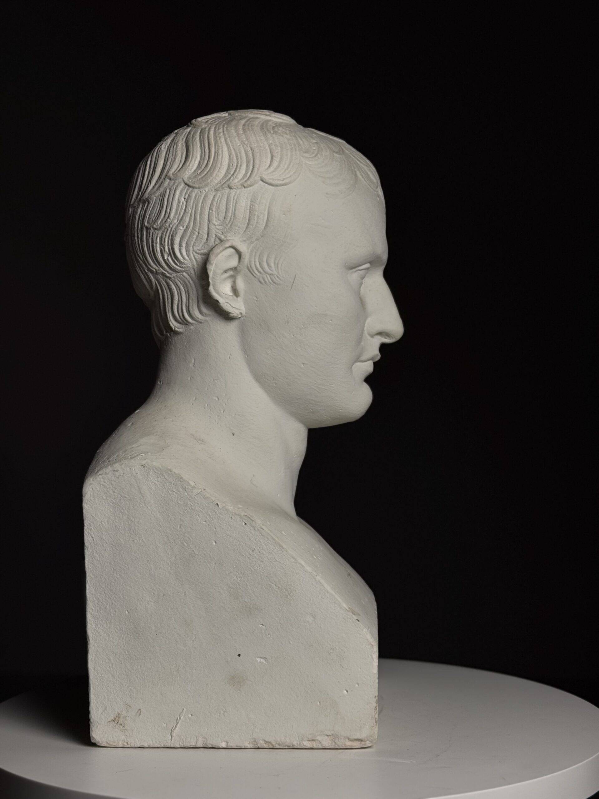 Buste de Napoléon en plâtre, 20e siècle.