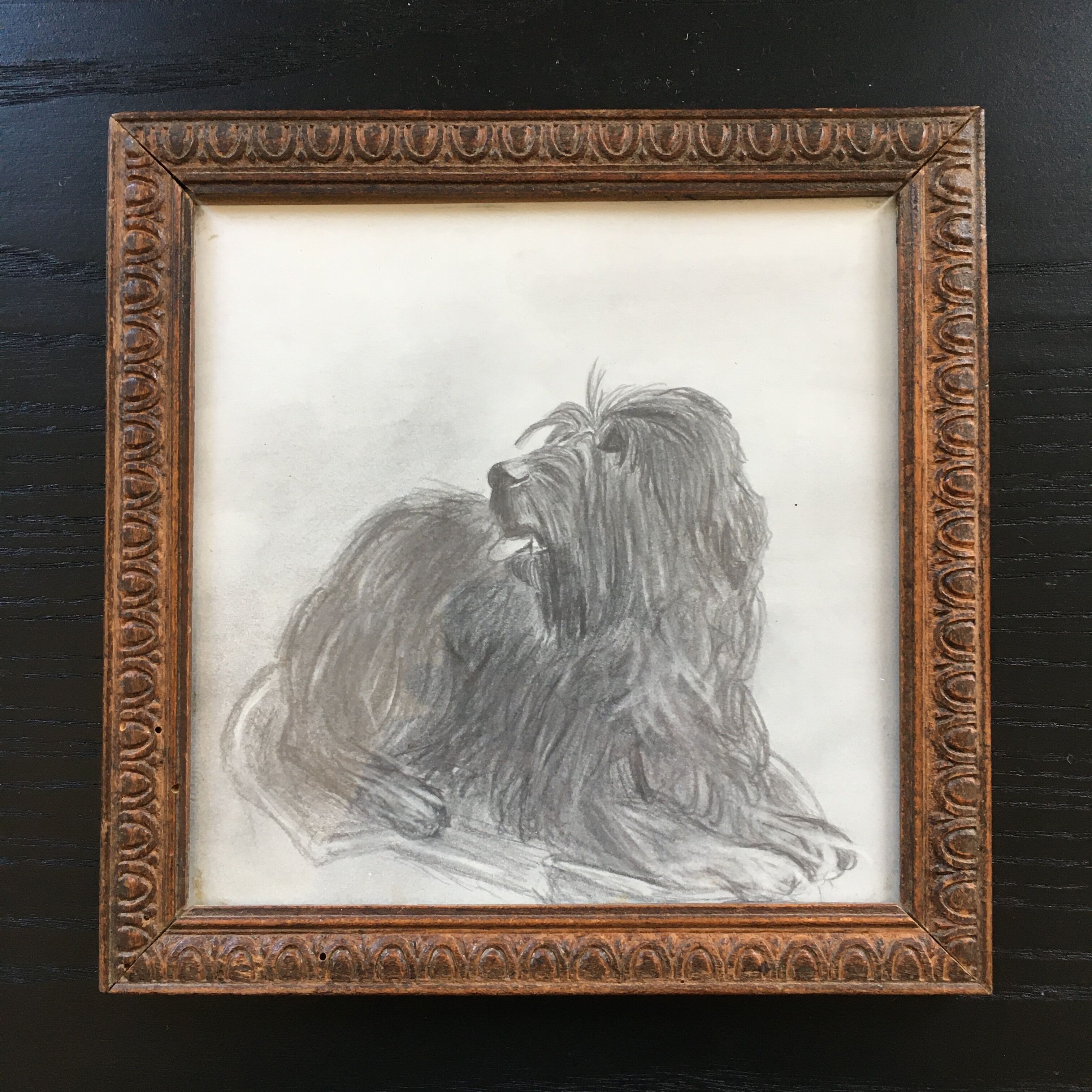Dog charcoal drawing framed