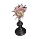 Cabinet of Curiosities shell angaria imperialis on base