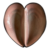 Ceramic shell cut by Pol Chambost 1960 signed