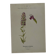 Botanical plate naturalist engraving flower plant double-sided