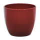burgundy red flower pot