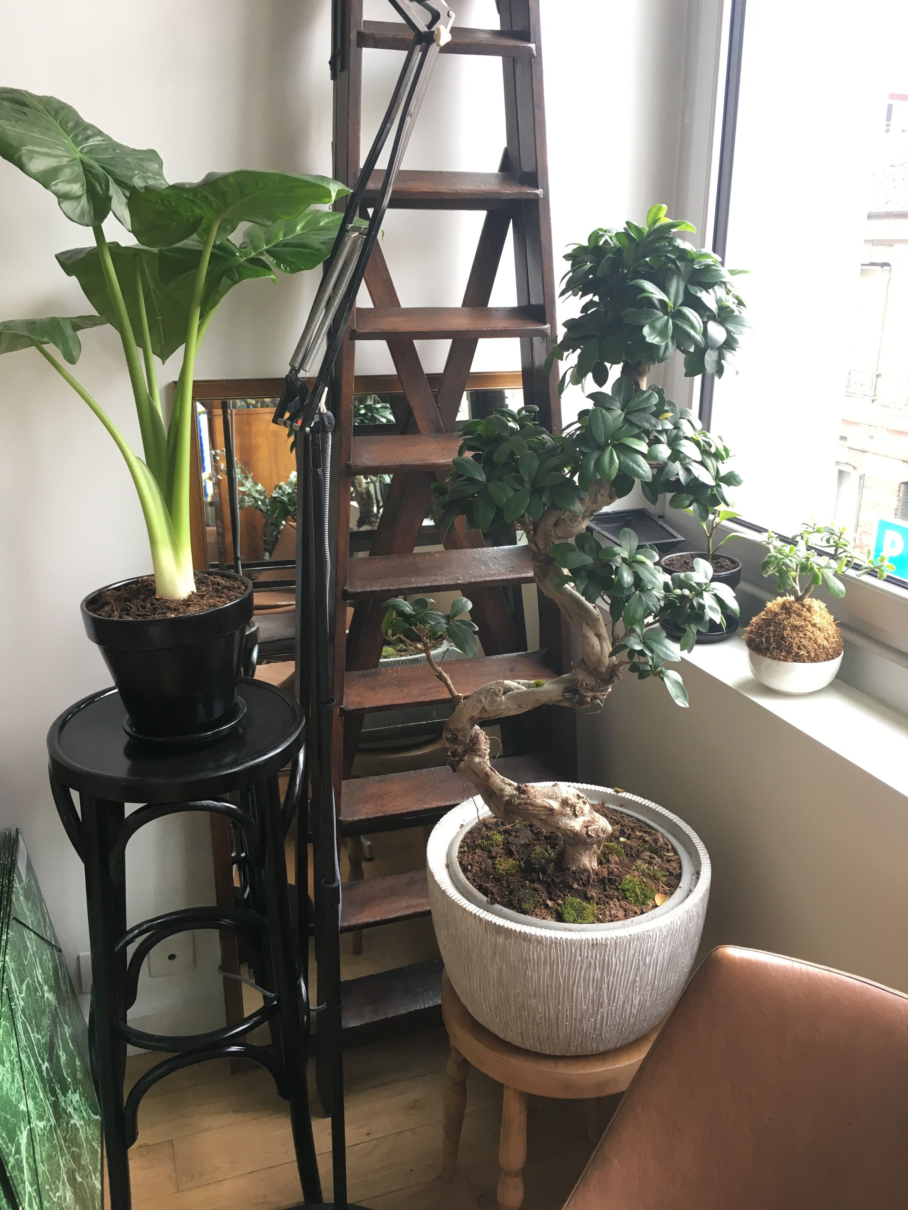 Wooden mirror 126x66cm