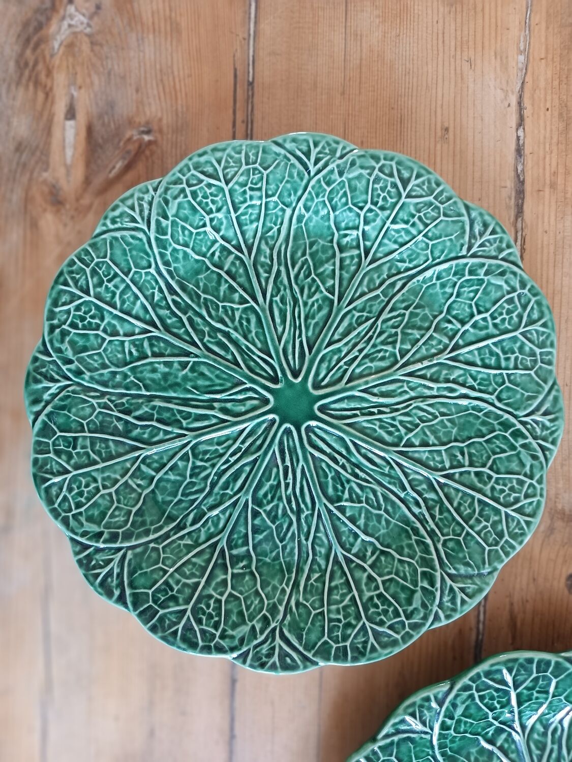 Duo of plates in slip