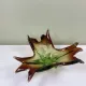Coupe sculpturale en verre soufflé mis century