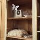 Antique wardrobe