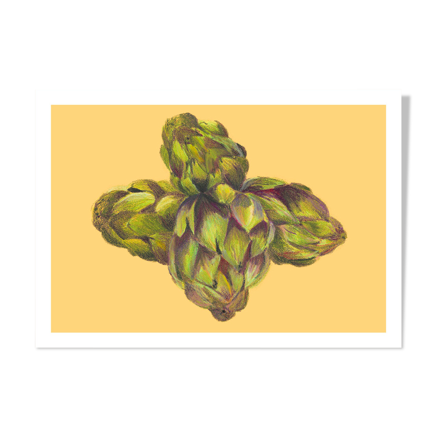 Pastel Artichoke A4 - flower vegetable