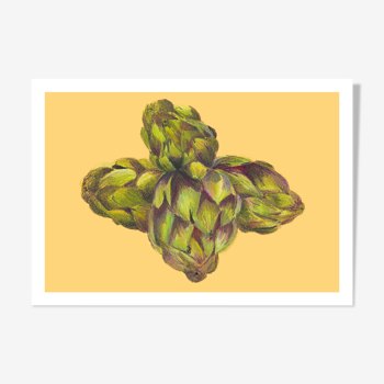 Pastel Artichoke A4 - flower vegetable