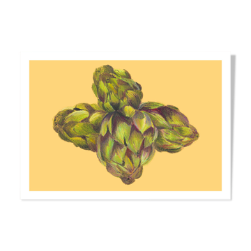 Pastel artichaut a4 légume fleur