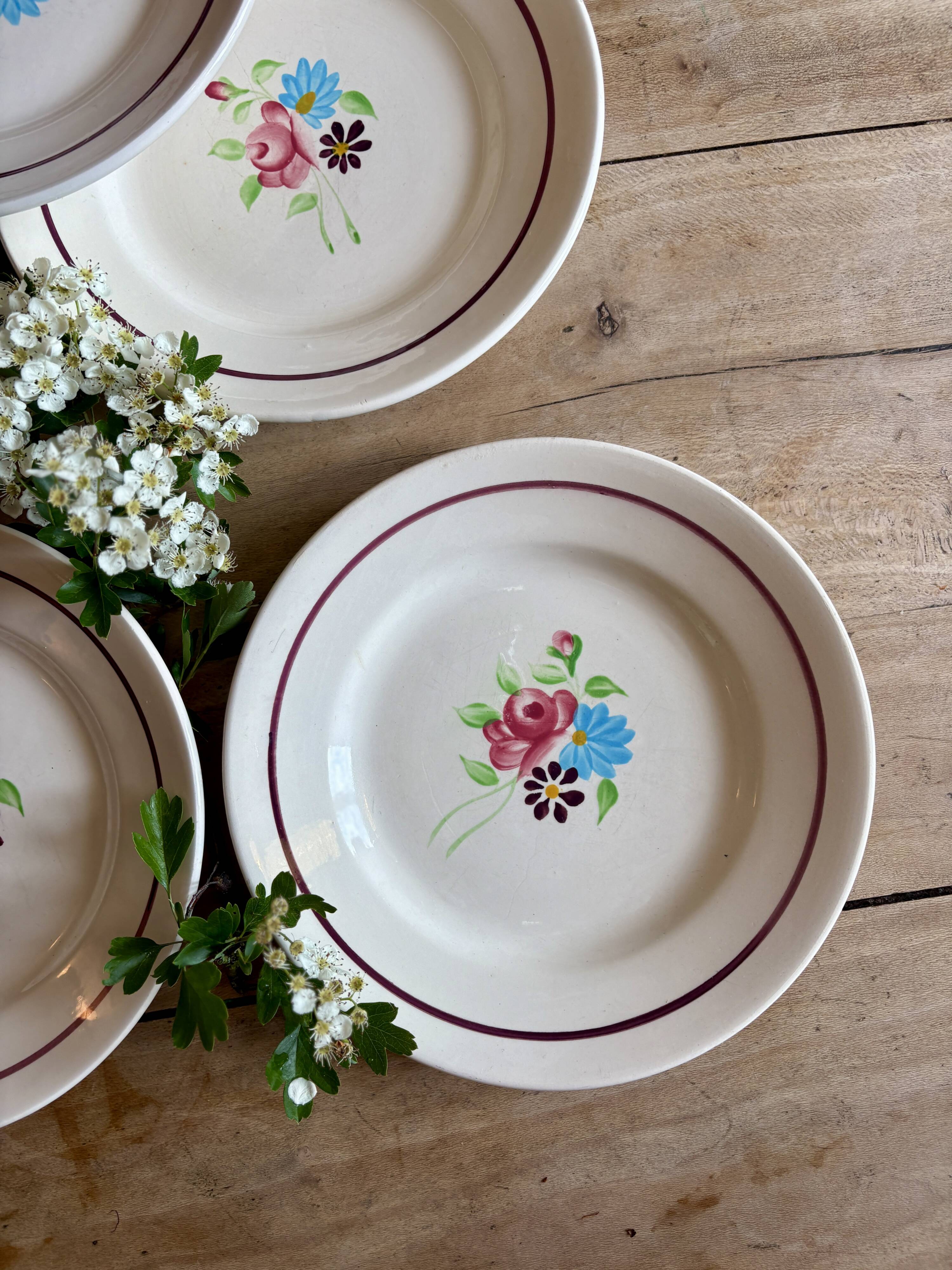 Set of 6 vintage dinner plates, Macon de Nidervillier model