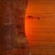 Rectangular pinewood wall lamp with bur wood veneer shades