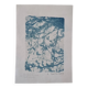 Cyanotype photographique collection botanique