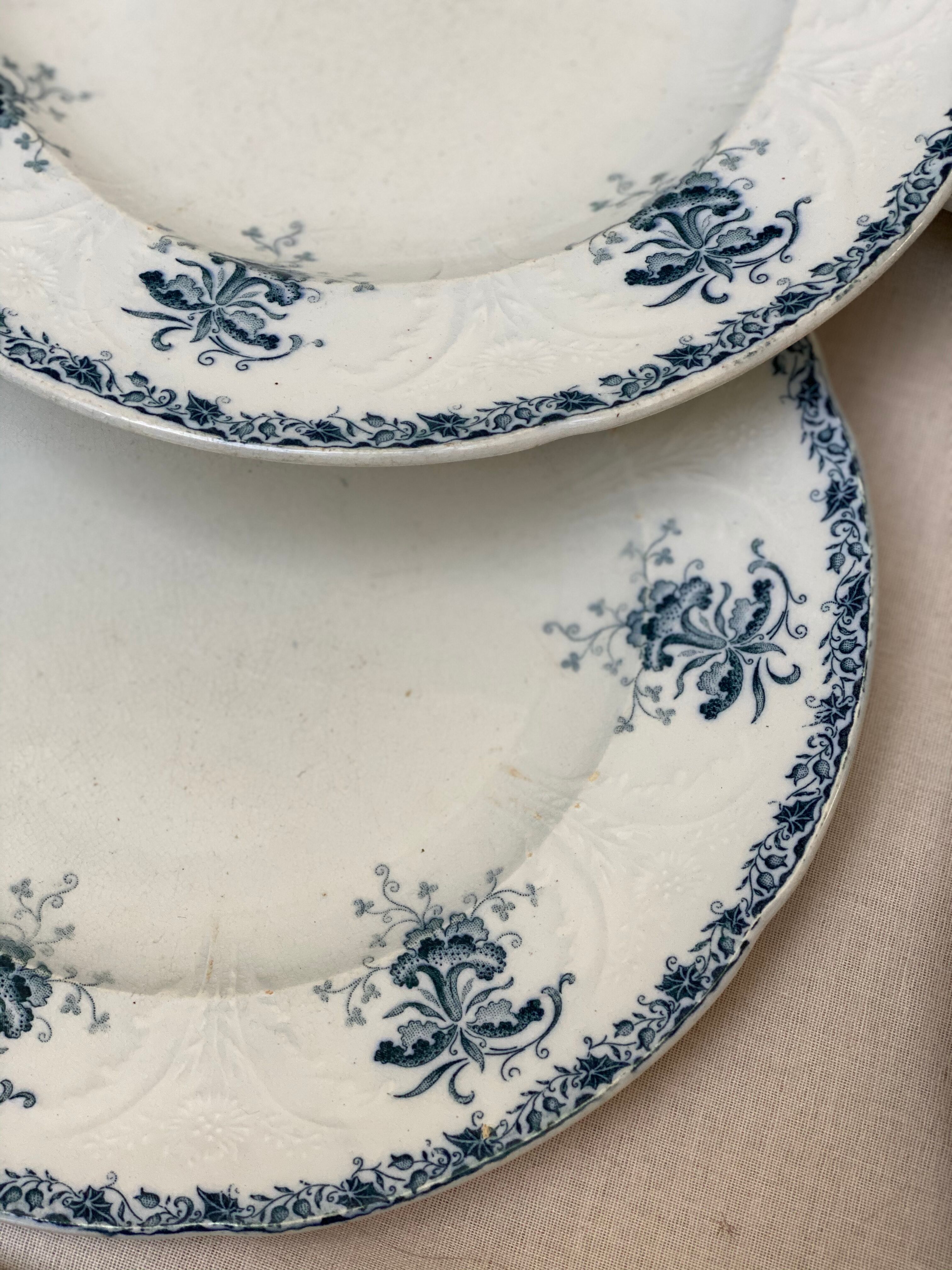 Plates iron earth flowers