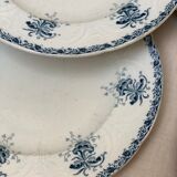 Plates iron earth flowers