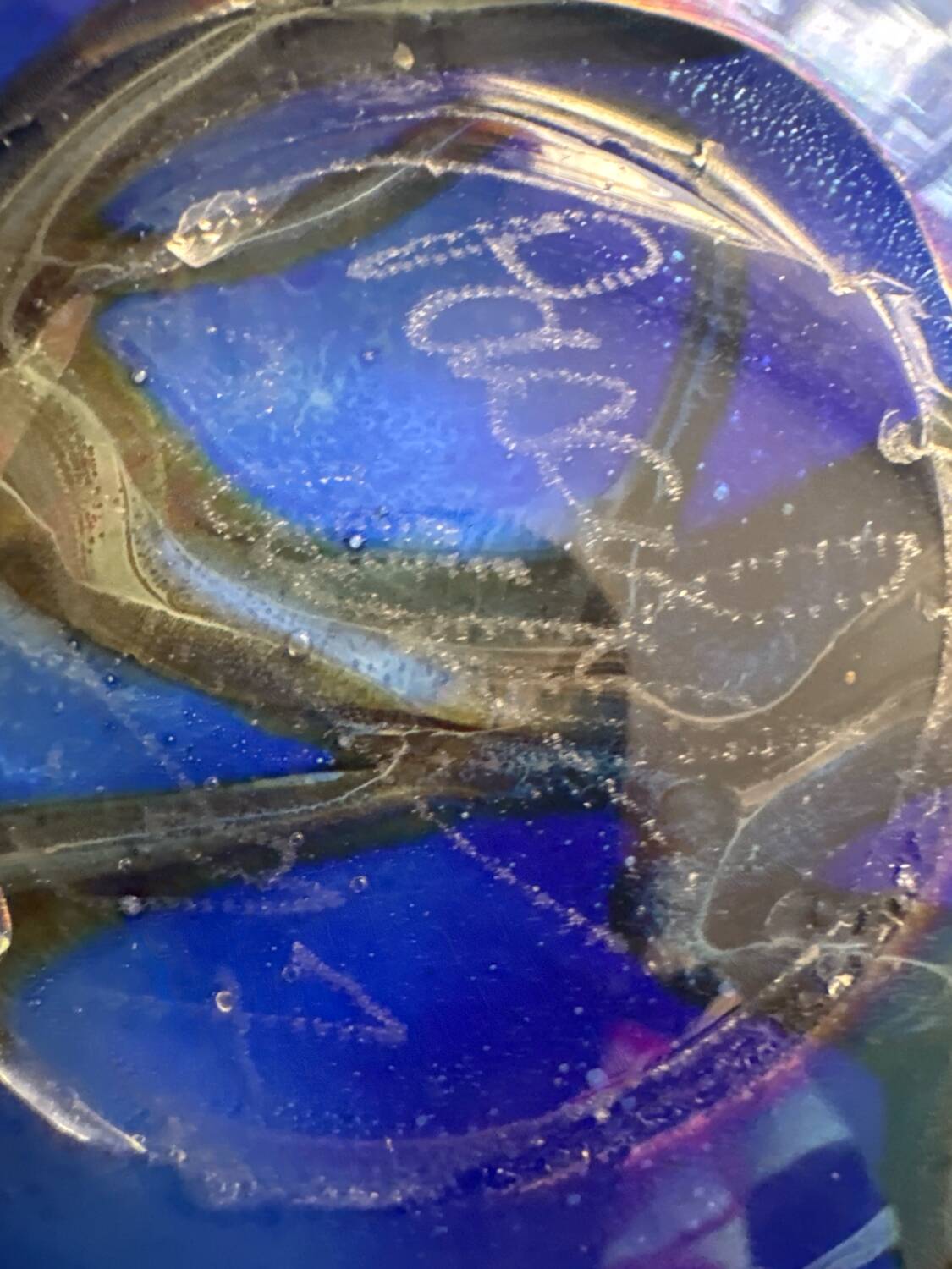 Lampe en verre soufflé à la bouche. Pascal Guyot