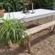 Old bench