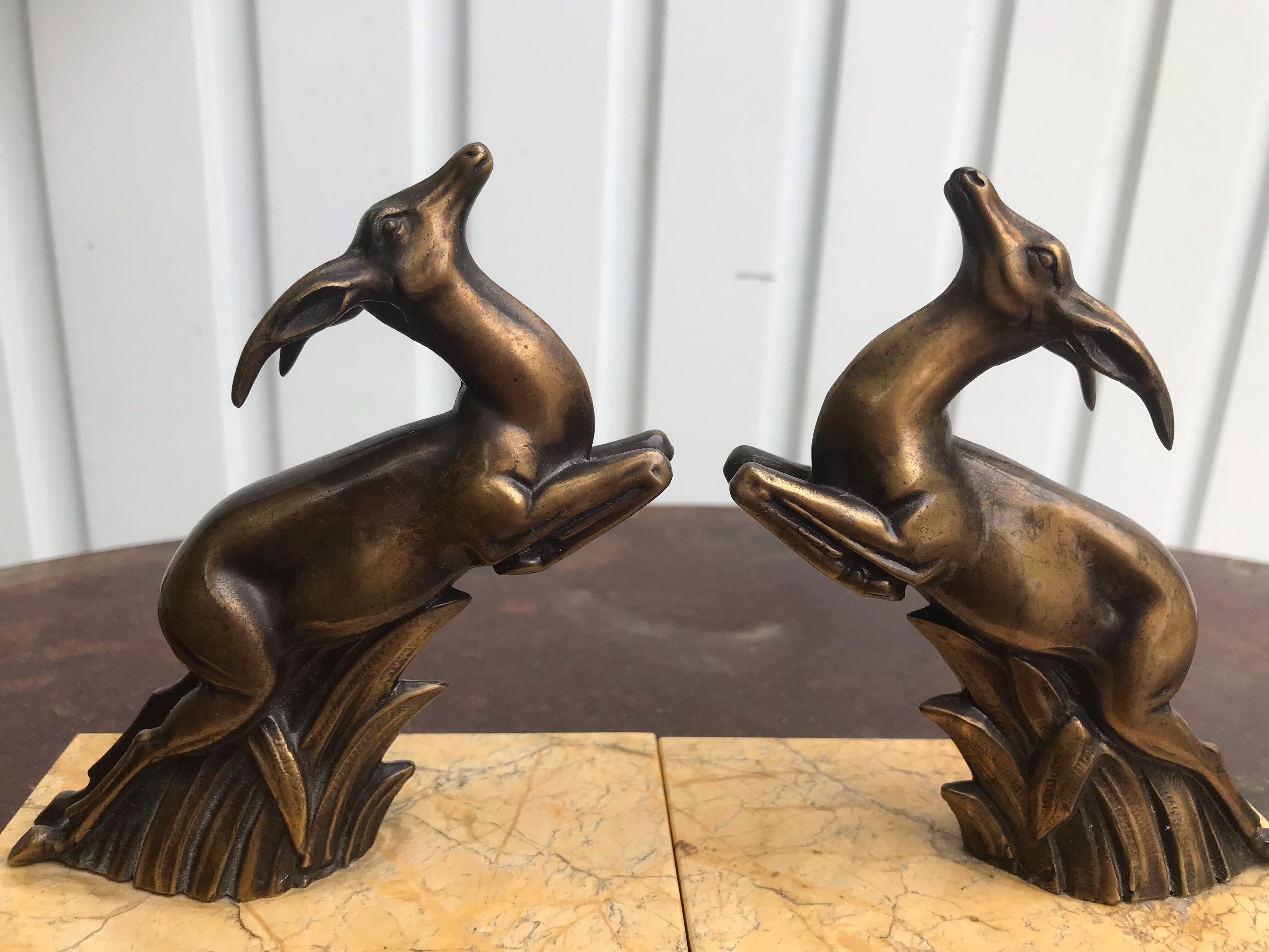 Greenhouse books antelopes