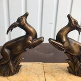 Greenhouse books antelopes