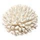 Natural white coral, 70s