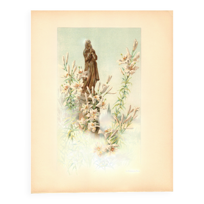 Gravure Art nouveau 1896 - Lys blancs et statue par G. Fraipont - planche