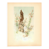 Gravure Art nouveau 1896 - Lys blancs et statue par G. Fraipont - planche
