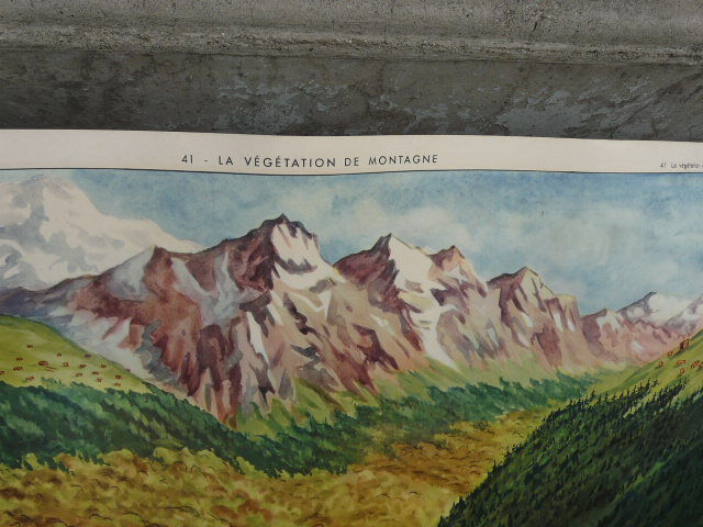 School poster editions nightingale N° 41 and 42 mountain and Mediterranean vegetation