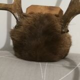 Deer Massacre