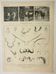 Antique engraving 1922, Animal horns, shapes, deer • Lithograph, original illustration
