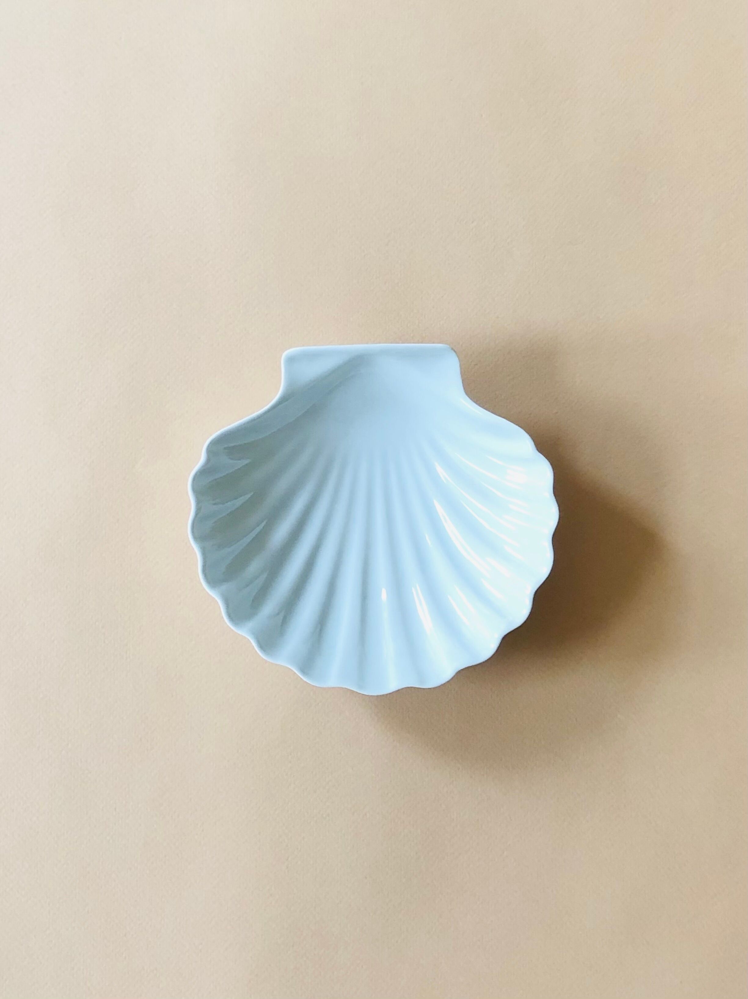 Empty-pocket porcelain shell cup