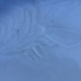 12 Saint Amand fish plates, Ocean model