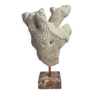 Branche de corail blanc ancien sur socle, 27 cm