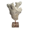 Branche de corail blanc ancien sur socle, 27 cm