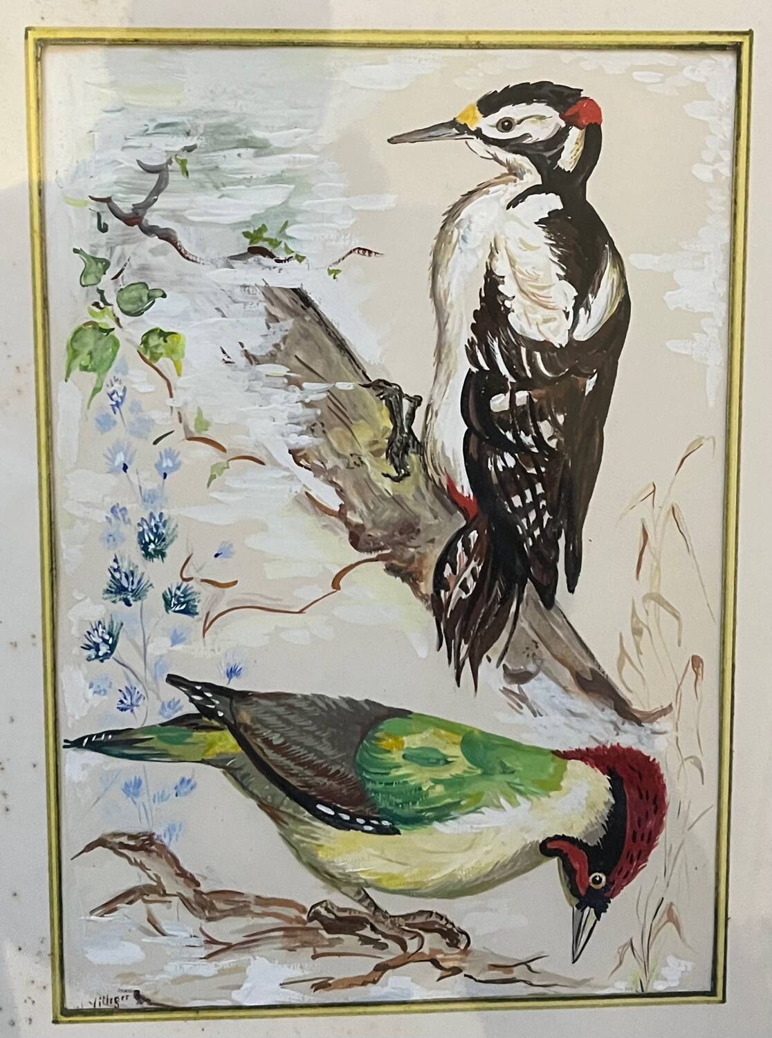Table: green woodpecker and great spotted woodpecker