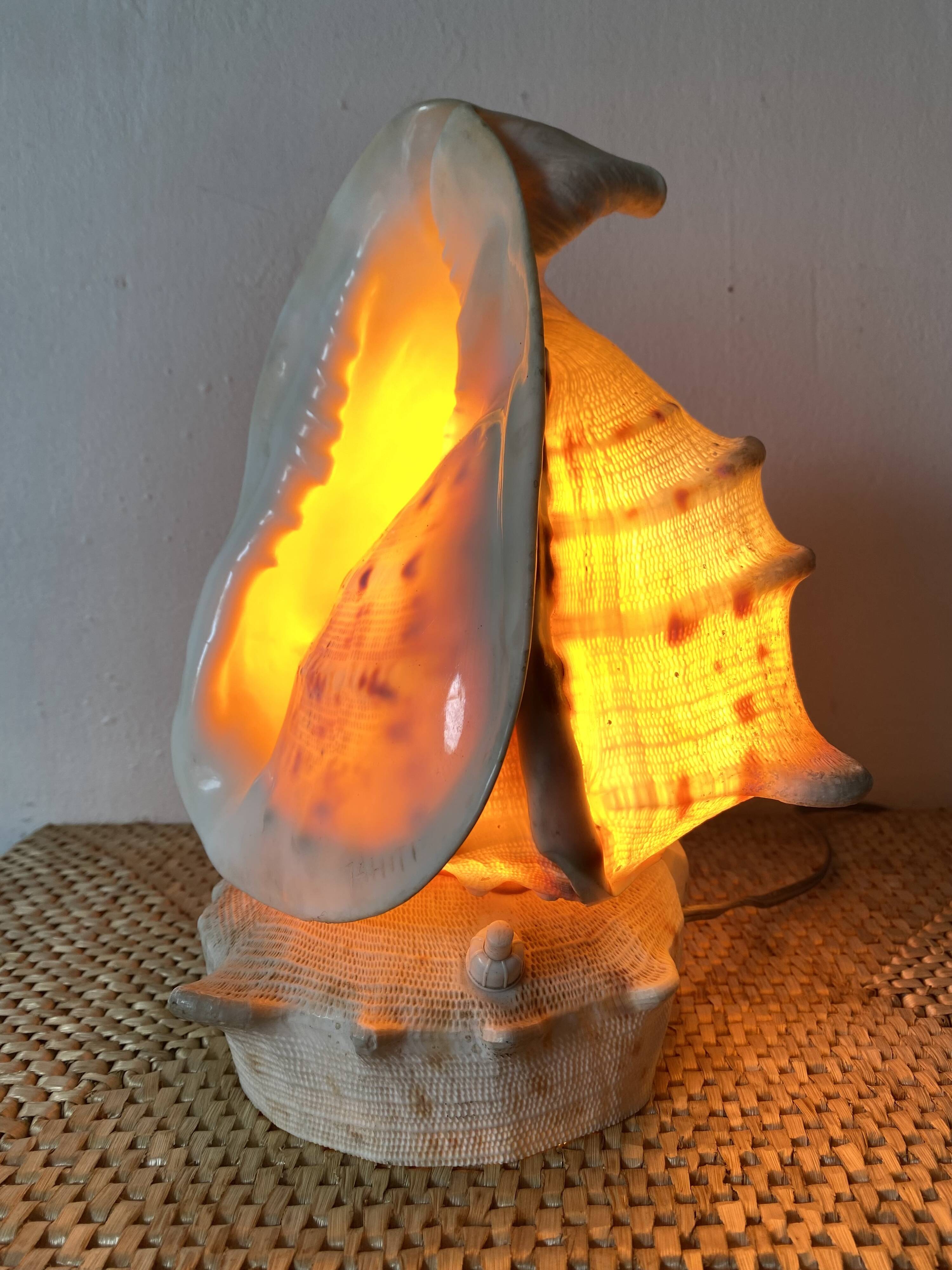 Lampe veilleuse en coquillage casque royal Tahiti