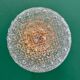 Vintage square glass globe wall/ceiling light (PLAF01)